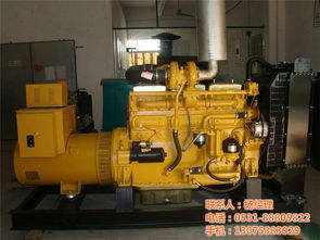 臨沂凱馬發(fā)電機(jī) 凱馬發(fā)電機(jī)組 凱爾馬 認(rèn)證商家 高清圖片 高清大圖